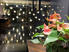 -新廊桥(原科华廊桥店)