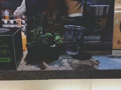 -BeauTea水仙(coco park店)