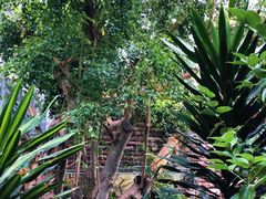 -北京植物园-展览温室