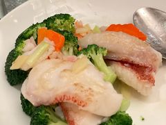 -香港尖沙咀凯悦酒店