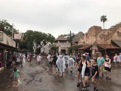 -奥兰多迪士尼动物王国乐园