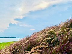 -露天矿生态公园