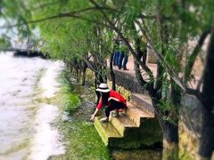 -南诏风情岛