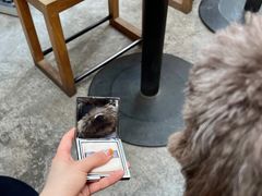 -VOYAGE COFFEE(北锣鼓巷店)