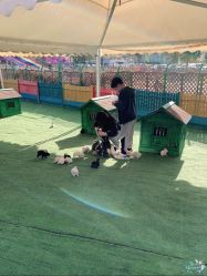 -萌宠亲子动物乐园(槐房万达店)