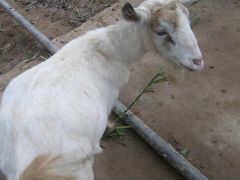 -广东茂名森林公园