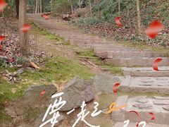 -上海佘山国家森林公园天马山园