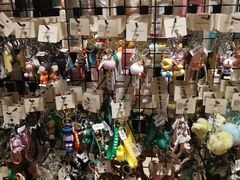 -The Green Party(碧湖万达广场店)