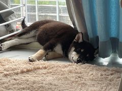 -糖贵妃·冰糖葫芦·刨冰(新街口印象汇店)