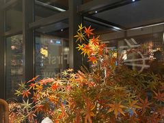 -首秀·四川料理(星耀101店)