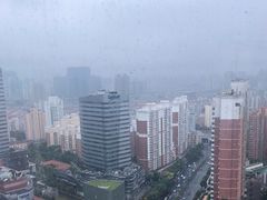 -上海龙之梦万丽酒店