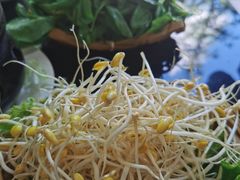 -藏味八珍特色火锅