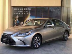 -哈尔滨龙晟雷克萨斯