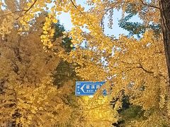 -85度C(生甜甜圈研究工坊·上海局门店)
