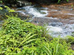 -马峦山郊野公园