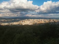 -长虫山生态公园风景林