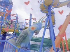 -苏州乐园森林水世界