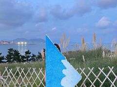 -小麦岛公园
