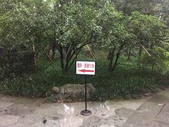 -乾园.魏庐湖景餐厅(花港店)