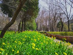 -山东大学(趵突泉校区)