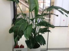 -雲己推拿院·养生SPA(江北龙湖天街店)