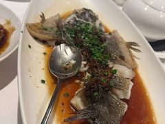 -南麓·浙里(外滩店)