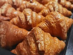 -月枫堂(长春这有山店)