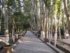 -艾提尕尔清真寺