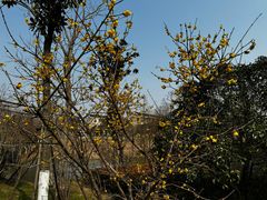 -狼山风景名胜区