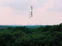 -灵谷景区