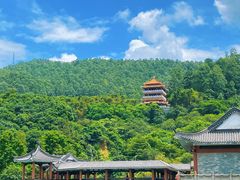 -水濂山森林公园