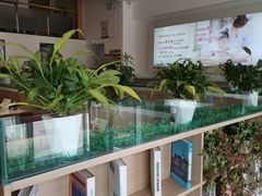 -嘉和一品粥(津华昌道店)