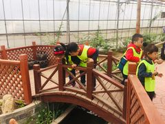 -南汇水蜜桃采摘(大团店)