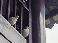 -南华禅寺