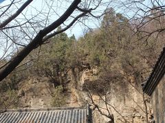 -抱犊崮国家森林公园