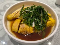 葱油嫩鸡-熠盛粤味·顺德桑拿鸡(永康路店)