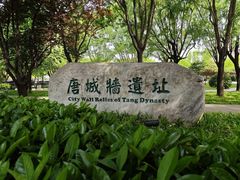 -唐城墙遗址公园