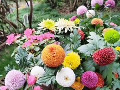 -共青国家森林公园-售票处