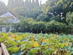 -上海醉白池公园