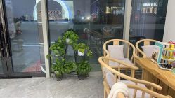 -玛尼瑜伽·普拉提