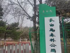 -长白岛森林公园