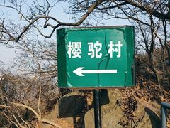 -紫金山山顶公园