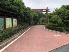 -大屏嶂森林公园