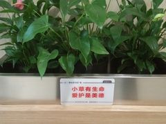 -胖东来生活广场(健康路店)