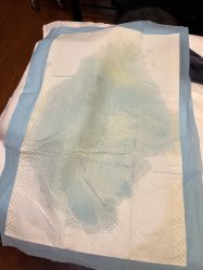 -Dr.林醫生产后修复·配方产康(南京江宁万达店)