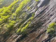 -龙水峡地缝景区