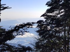 -瓦屋山景区