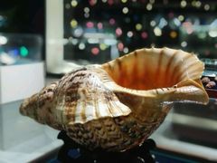 android_upload_pic-青岛贝壳博物馆