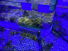 -青蓬蒸汽海鲜·深圳老字号·团建聚会(壹方城店)