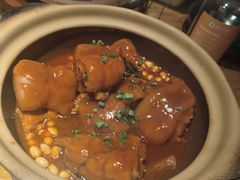 老火煨猪手-馋嘴猫北京食堂·烤鸭·宵夜(亚运村店)